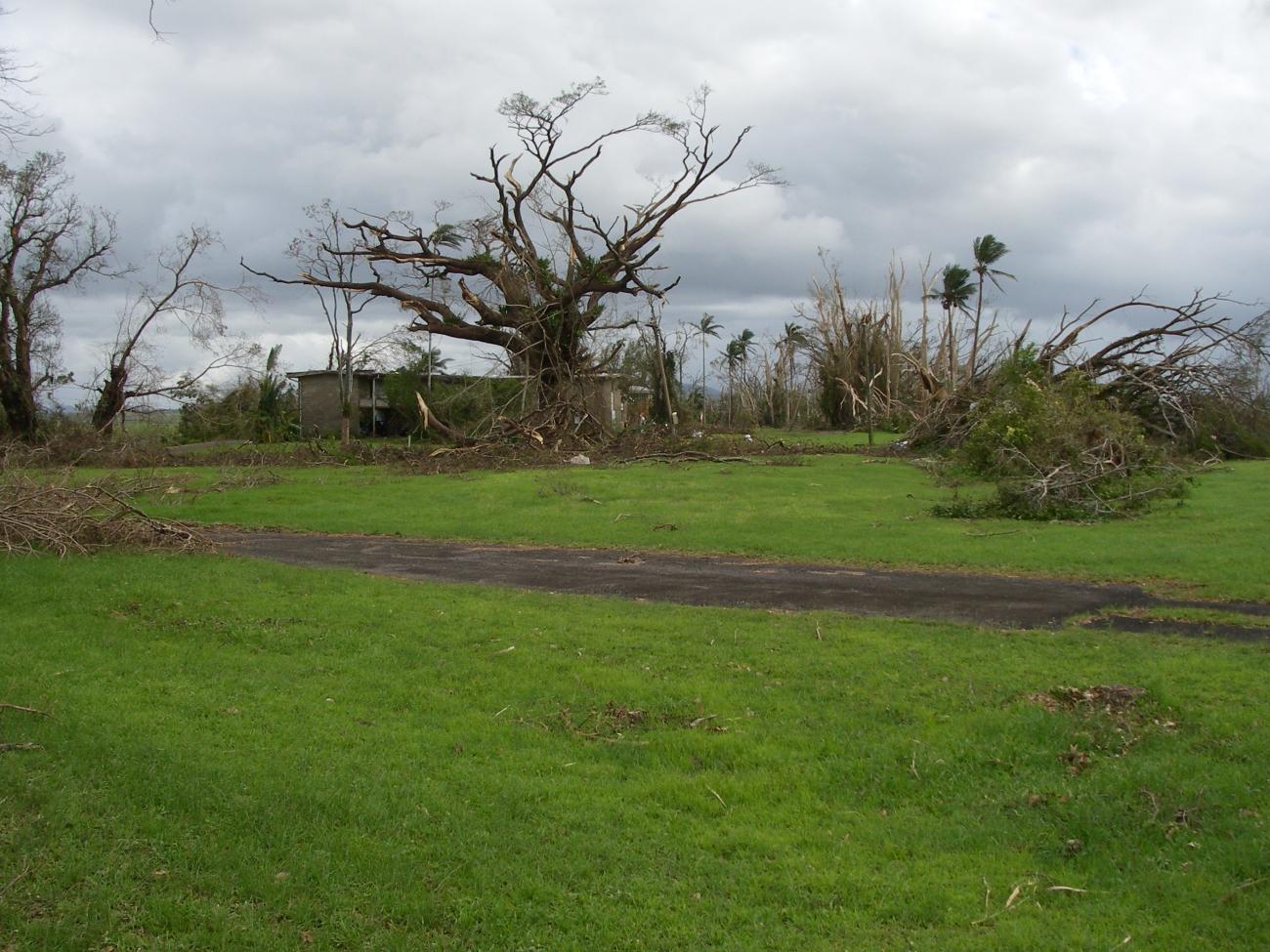 Cyclone Larry damage to trees